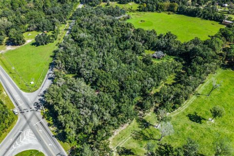 Land in Eustis, Florida № 2431117 - photo 17