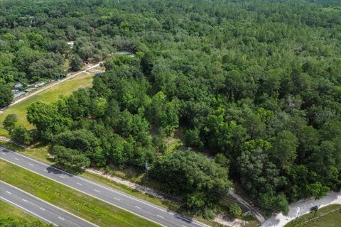 House in Micanopy, Florida 2 bedrooms, 88.07 sq.m. № 1771983 - photo 29