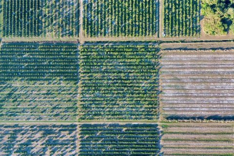 Land in Lorida, Florida № 2104064 - photo 7