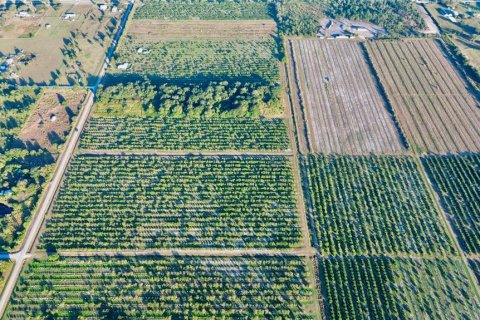 Land in Lorida, Florida № 2104064 - photo 6