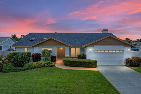 House in Tierra Verde, Florida 3 bedrooms, 246.66 sq.m. № 1908831 - photo 1