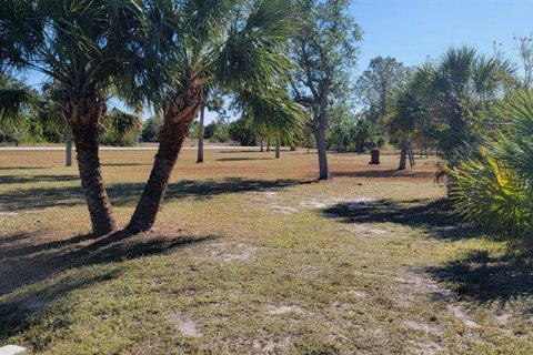 Land in Port Charlotte, Florida № 1561375 - photo 16