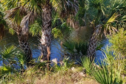 Land in Port Charlotte, Florida № 1561375 - photo 19