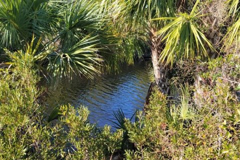 Land in Port Charlotte, Florida № 1561375 - photo 21