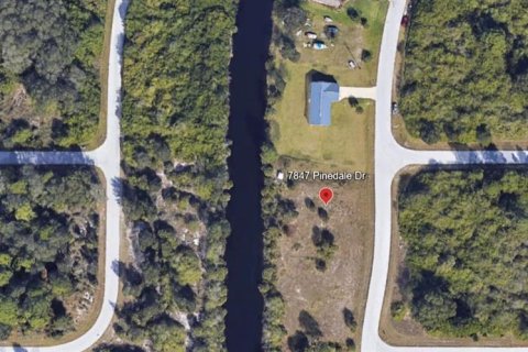Land in Port Charlotte, Florida № 1561375 - photo 4