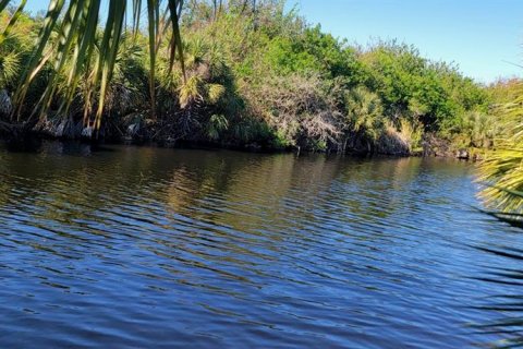 Land in Port Charlotte, Florida № 1561375 - photo 14