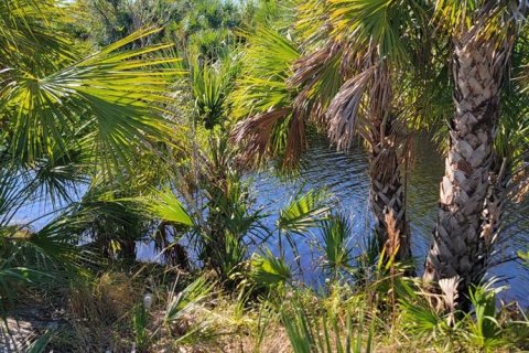 Land in Port Charlotte, Florida № 1561375 - photo 18