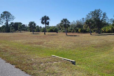Land in Port Charlotte, Florida № 1561375 - photo 12