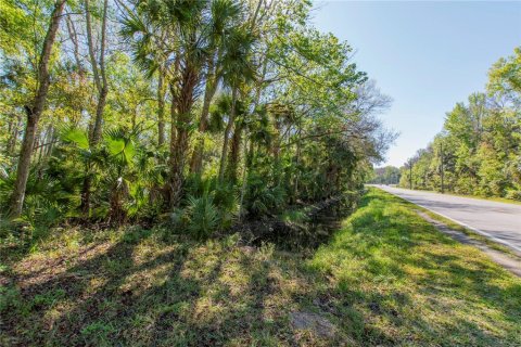 Land in Edgewater, Florida № 1559203 - photo 3
