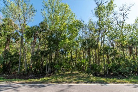 Land in Edgewater, Florida № 1559203 - photo 1