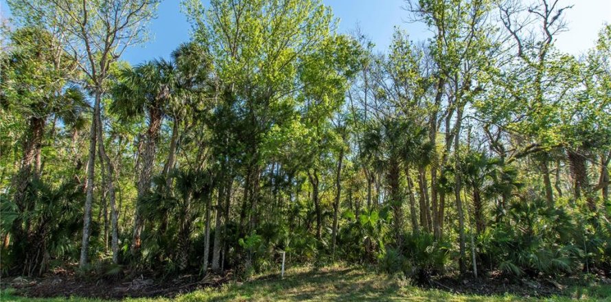 Land in Edgewater, Florida № 1559203
