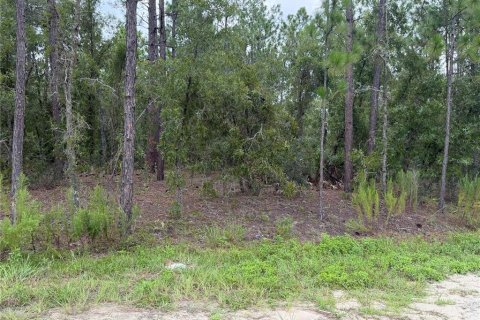 Land in Ocala, Florida № 2238889