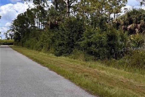 Land in Port Charlotte, Florida № 2165605 - photo 2