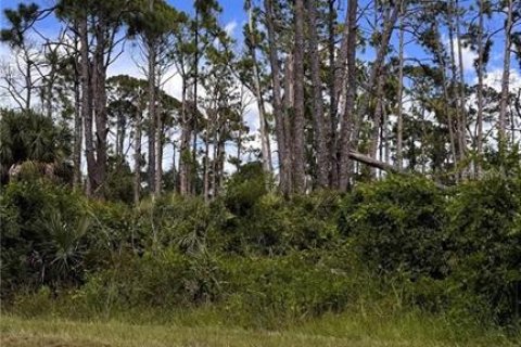 Land in Port Charlotte, Florida № 2165605 - photo 3