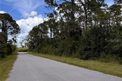 Land in Port Charlotte, Florida № 2165605 - photo 9
