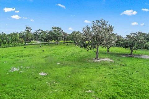 Terrain à vendre à Ocala, Floride № 1913876 - photo 8