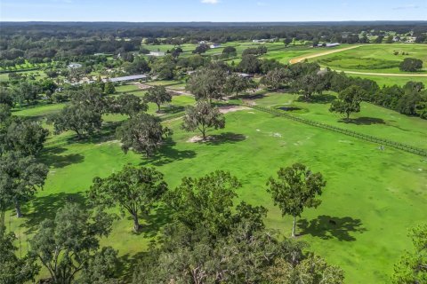 Terrain à vendre à Ocala, Floride № 1913876 - photo 6