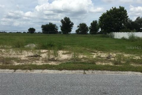 Land in Winter Haven, Florida № 1822500 - photo 1