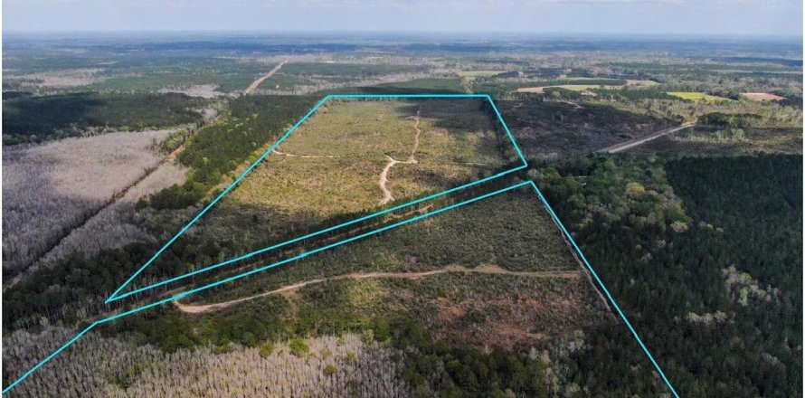 Terreno en Westville, Florida № 558302