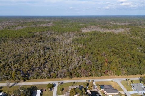 Land in Crystal River, Florida № 1533802 - photo 15