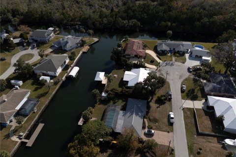 Land in Crystal River, Florida № 1533802 - photo 9