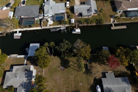 Land in Crystal River, Florida № 1533802 - photo 8