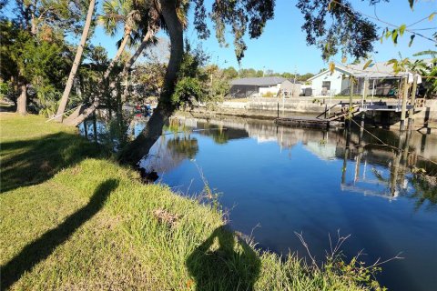 Land in Crystal River, Florida № 1533802 - photo 4