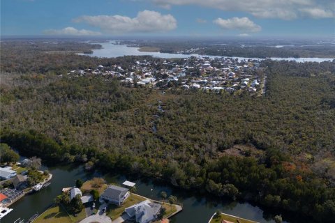 Land in Crystal River, Florida № 1533802 - photo 13