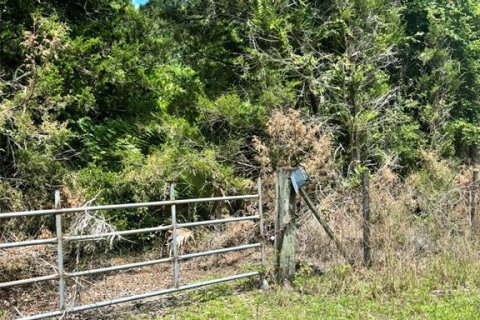 Land in Chiefland, Florida № 2211877 - photo 2