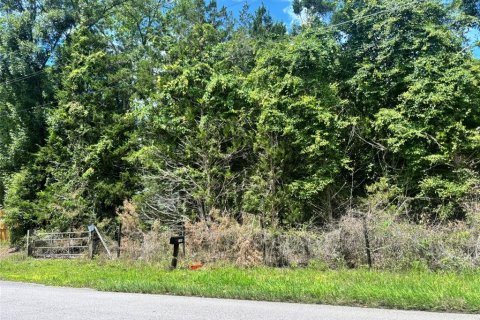 Land in Chiefland, Florida № 2211877 - photo 3