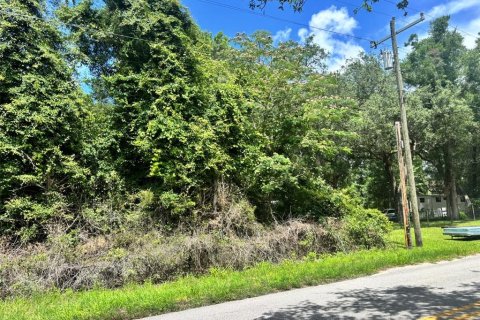 Land in Chiefland, Florida № 2211877 - photo 4