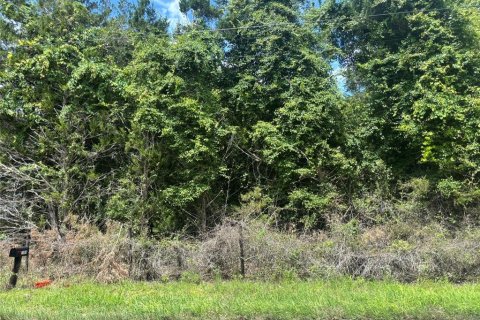 Land in Chiefland, Florida № 2211877 - photo 5