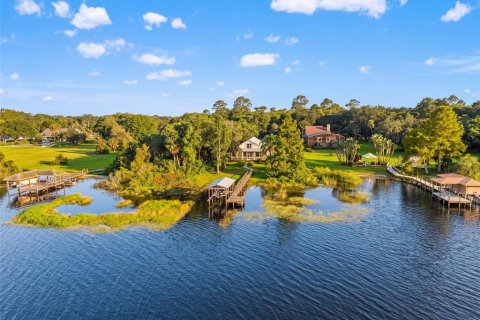 Villa ou maison à Mount Dora, Floride 3 chambres, 210.7 m2 № 2429181