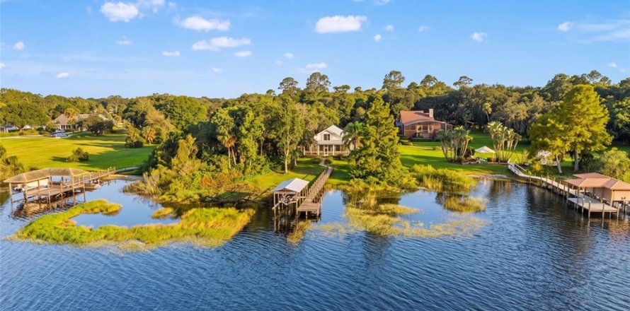 Villa ou maison à Mount Dora, Floride 3 chambres, 210.7 m2 № 2429181