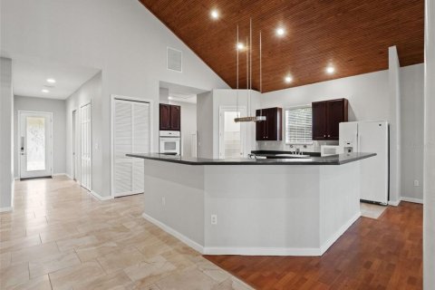 Villa ou maison à vendre à Mount Dora, Floride: 3 chambres, 210.7 m2 № 2429181 - photo 17