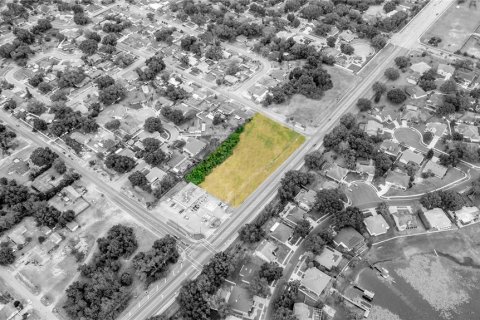 Land in Ocoee, Florida № 1778453 - photo 5