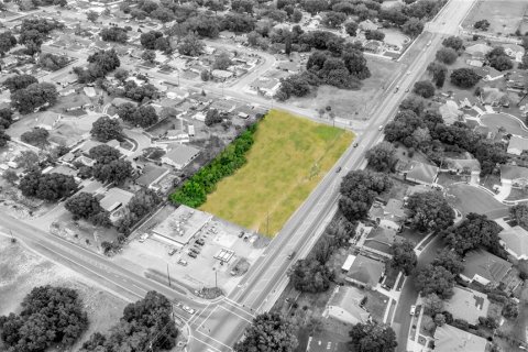 Land in Ocoee, Florida № 1778453 - photo 4