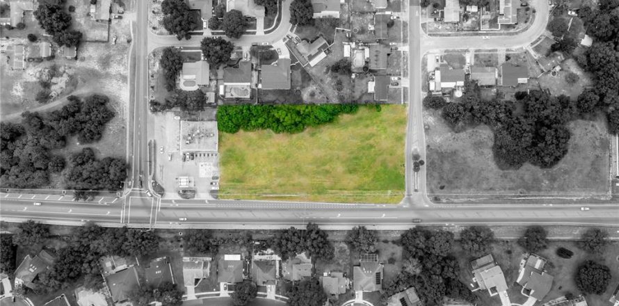 Land in Ocoee, Florida № 1778453