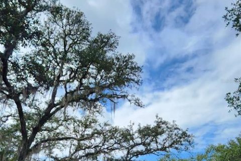 Land in Fort MC Coy, Florida № 1554444 - photo 2