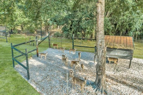 Land in Fort MC Coy, Florida № 1554444 - photo 8