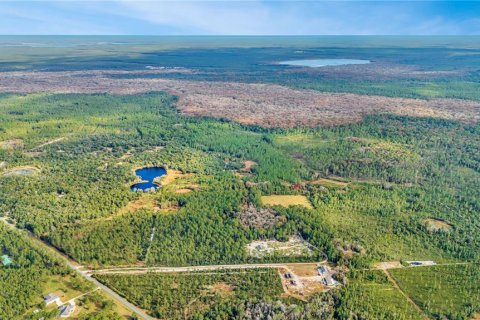 Land in Fort MC Coy, Florida № 1554444 - photo 4