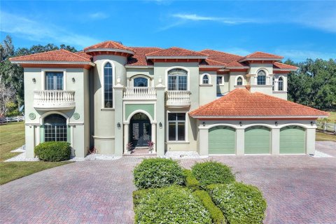 Villa ou maison à Lakeland, Floride 5 chambres, 582.59 m2 № 2167301