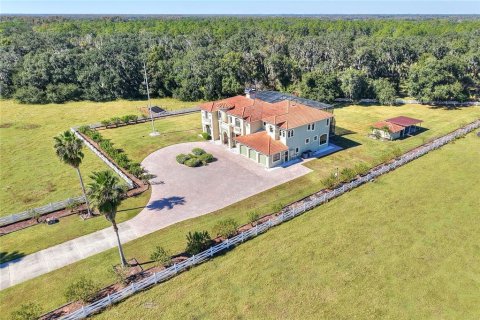 Villa ou maison à vendre à Lakeland, Floride: 5 chambres, 582.59 m2 № 2167301 - photo 2