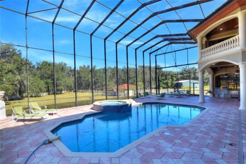 Villa ou maison à vendre à Lakeland, Floride: 5 chambres, 582.59 m2 № 2167301 - photo 22