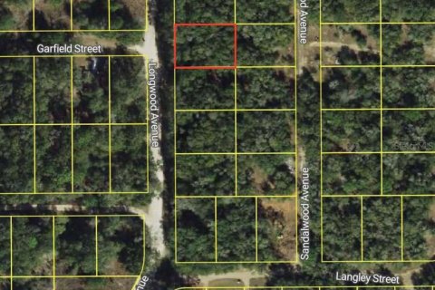 Land in Inverness, Florida № 2159274 - photo 2