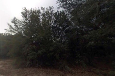Land in Inverness, Florida № 2159274