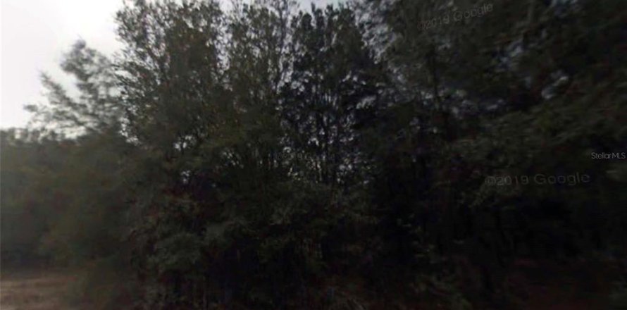Land in Inverness, Florida № 2159274