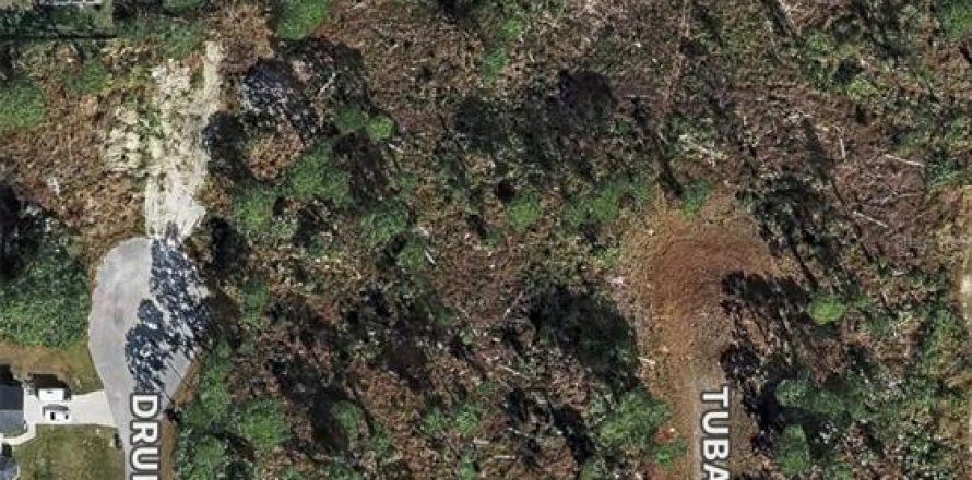 Land in Lehigh Acres, Florida № 2159998