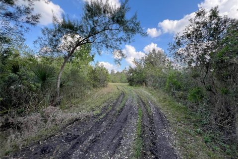 Купить земельный участок в Орландо, Флорида № 1666270 - фото 15