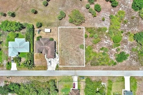 Land in Lehigh Acres, Florida № 2165149 - photo 2